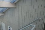DSC_0159.jpg - 